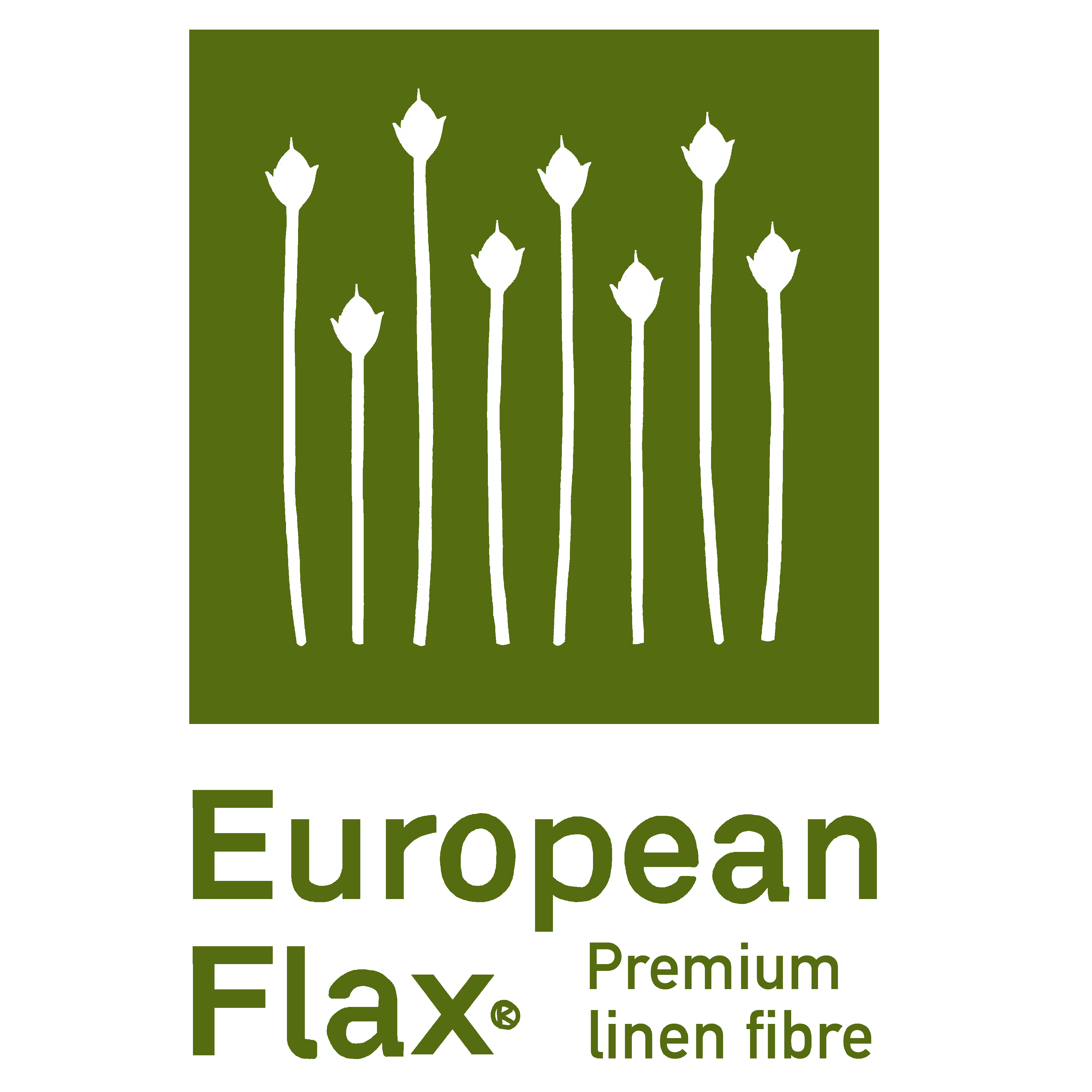 European Flax